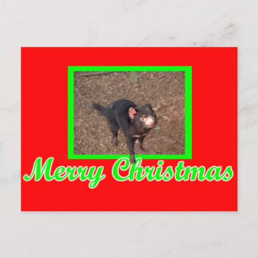 タッシー・デビル ポストカード (正面)