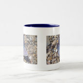 タッセブラウエシュメトターリング ツートーンマグカップ (中央)