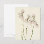 タッセルコットングラスバイメリーヴォーウォルコット ノートカード (正面/裏面)