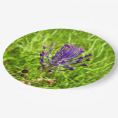 タッセルヒヤシンス紙プレート ペーパープレート (アングル)