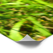 タッセル・ヒヤシンスのポスター ポスター (角)