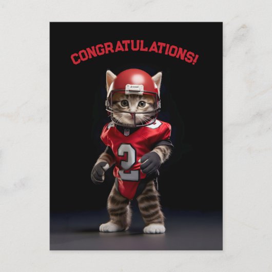 タッチダウン キッテン ポストカード (正面)