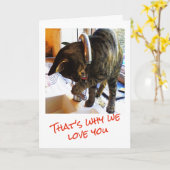 タップダンサー誕生日カード カード (黄色い花)