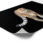 タップダンスポスター ポスター (角)