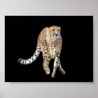 タップダンスポスター ポスター