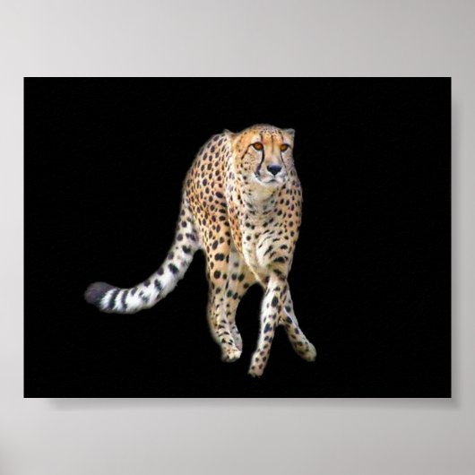 タップダンスポスター ポスター (正面)