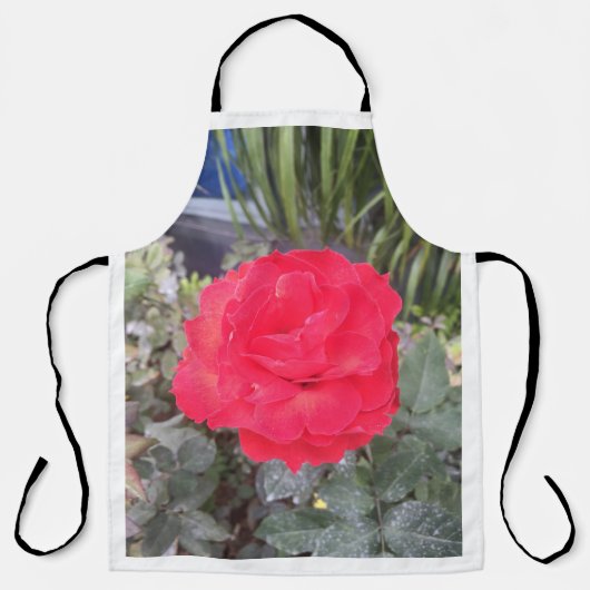 タップデ エプロン (正面)