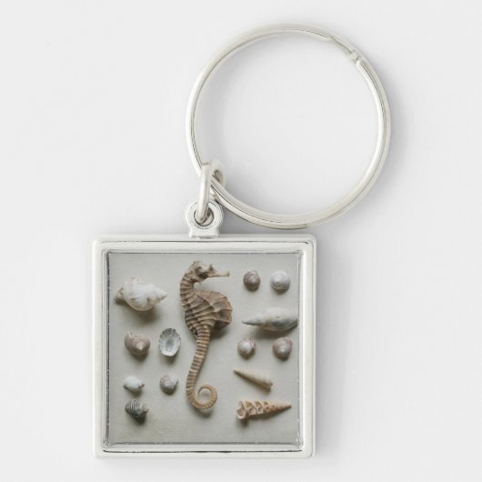タツノオトシゴおよび貝 キーホルダー (正面)