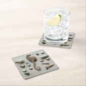 タツノオトシゴおよび貝 スクエアペーパーコースター (インサイチュ)