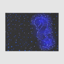 タツノオトシゴはライトで泳ぎます