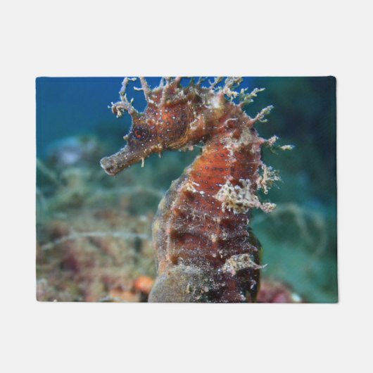 タツノオトシゴ|の海馬Ramulosus ドアマット (正面)