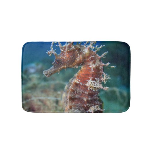 タツノオトシゴ|の海馬Ramulosus バスマット (正面)