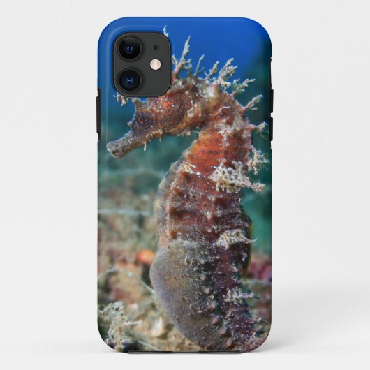 タツノオトシゴ|の海馬Ramulosus Case-Mate iPhoneケース (裏面)