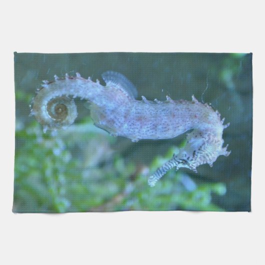 タツノオトシゴ キッチンタオル (横)