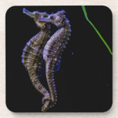 タツノオトシゴ(タツノオトシゴ) コースター (正面)