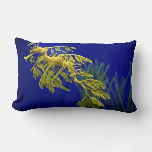 タツノオトシゴ ランバークッション (正面)