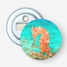 タツノオトシゴ 熱帯 カリブ海 ターコイズ オレンジ