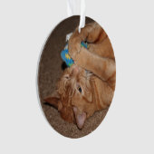 タテル オーナメント (正面)