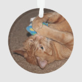 タテル オーナメント (裏面)