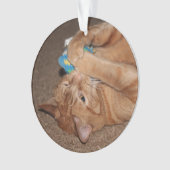 タテル オーナメント (正面)