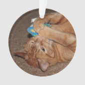 タテル オーナメント (正面)