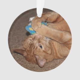 タテル オーナメント