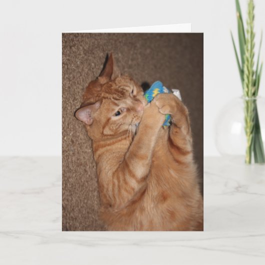 タテル カード (正面)