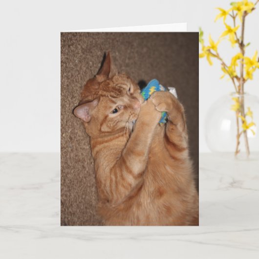 タテル カード (黄色い花)