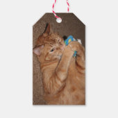 タテル ギフトタグ (正面)