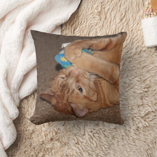 タテル クッション (ブランケット)