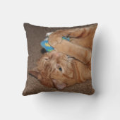 タテル クッション (裏面)