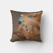 タテル クッション (正面)