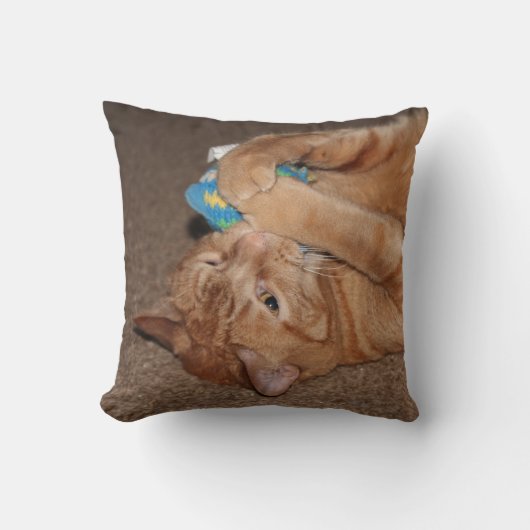 タテル クッション (正面)