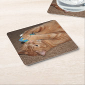 タテル スクエアペーパーコースター (アングル)