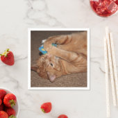 タテル スタンダードカクテルナプキン (インサイチュ)