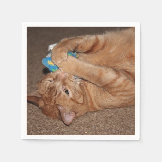 タテル スタンダードカクテルナプキン (正面)