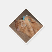 タテル スタンダードカクテルナプキン (角)