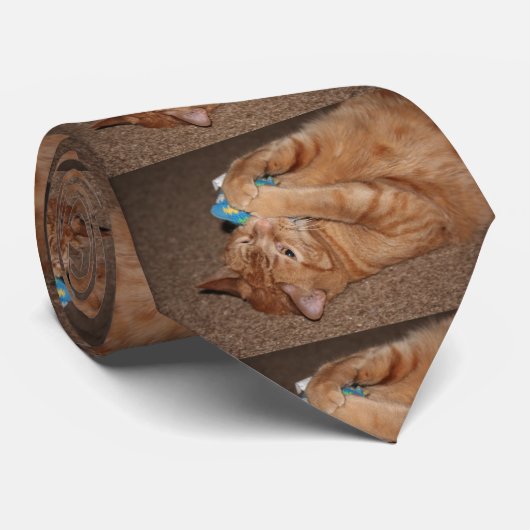 タテル ネクタイ (ロール)