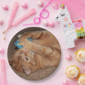 タテル ペーパープレート (パーティー)