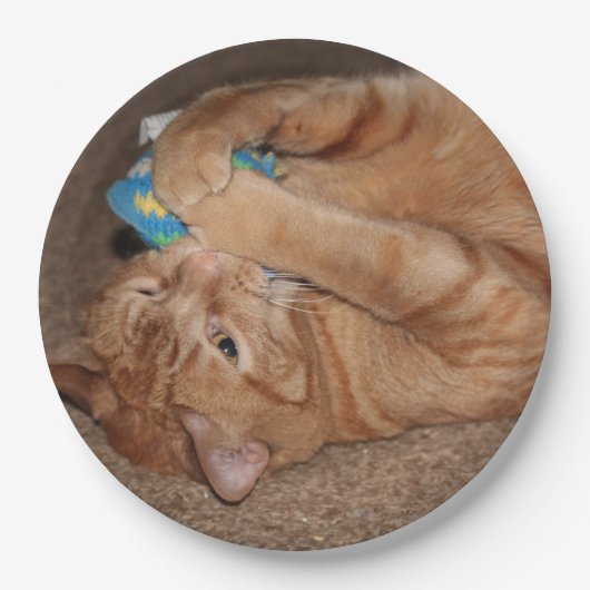 タテル ペーパープレート (正面)