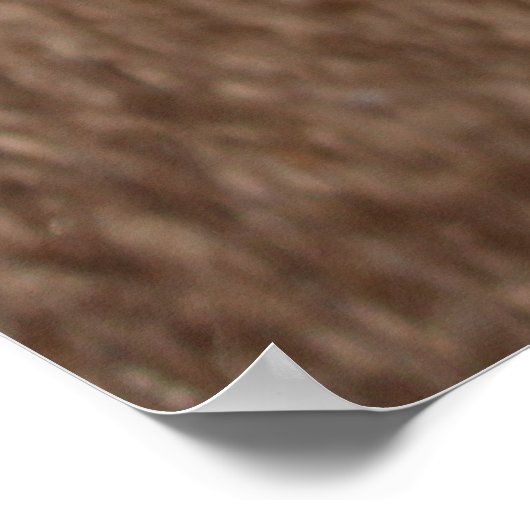 タテル ポスター (角)