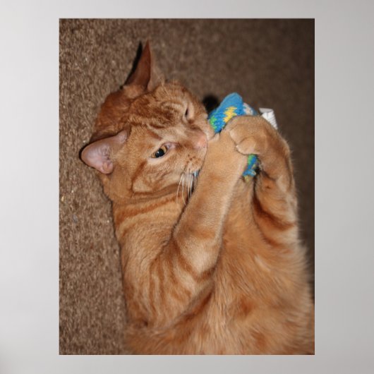 タテル ポスター (正面)