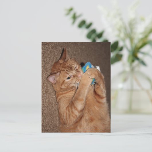 タテル ポストカード (スタンド正面)