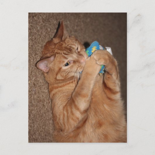 タテル ポストカード (正面)