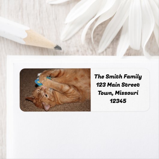 タテル ラベル (インサイチュ)