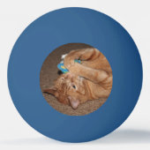 タテル 卓球ボール (裏面)