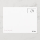 タトゥーピン留め ポストカード (裏面)