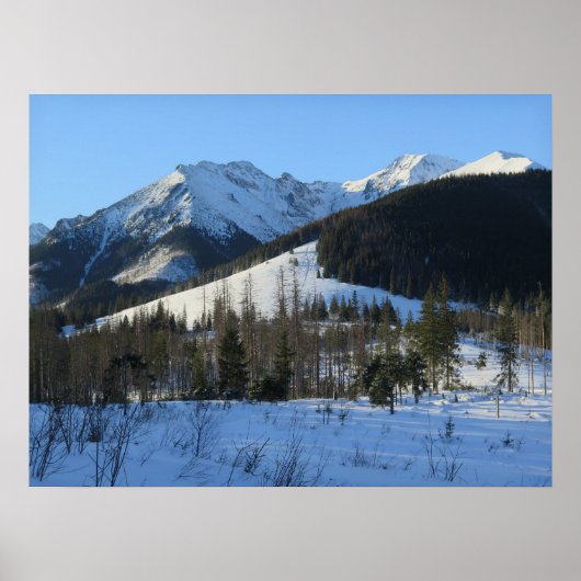 タトラの冬 ポスター (正面)