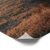 タトラへの道 ポスター (角)