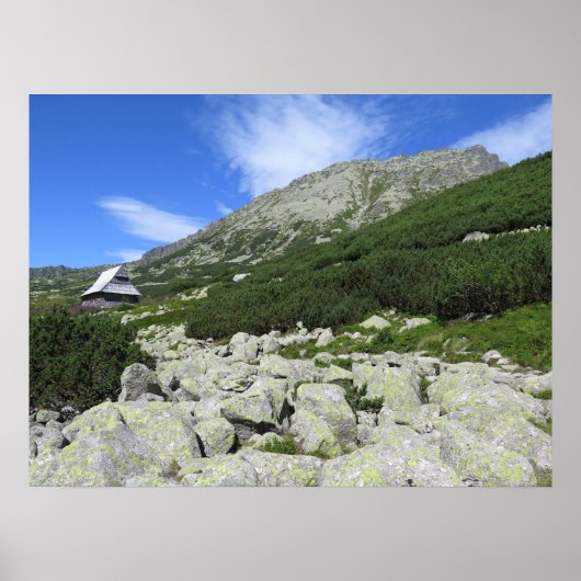 タトラスポーランドファイブレイクスバレー ポスター (正面)